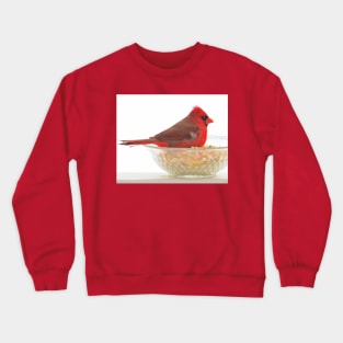 Cardinal No.4 Crewneck Sweatshirt